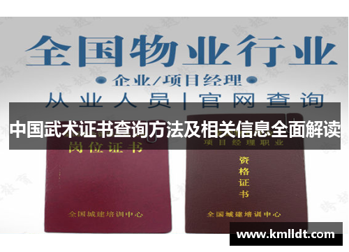 中国武术证书查询方法及相关信息全面解读